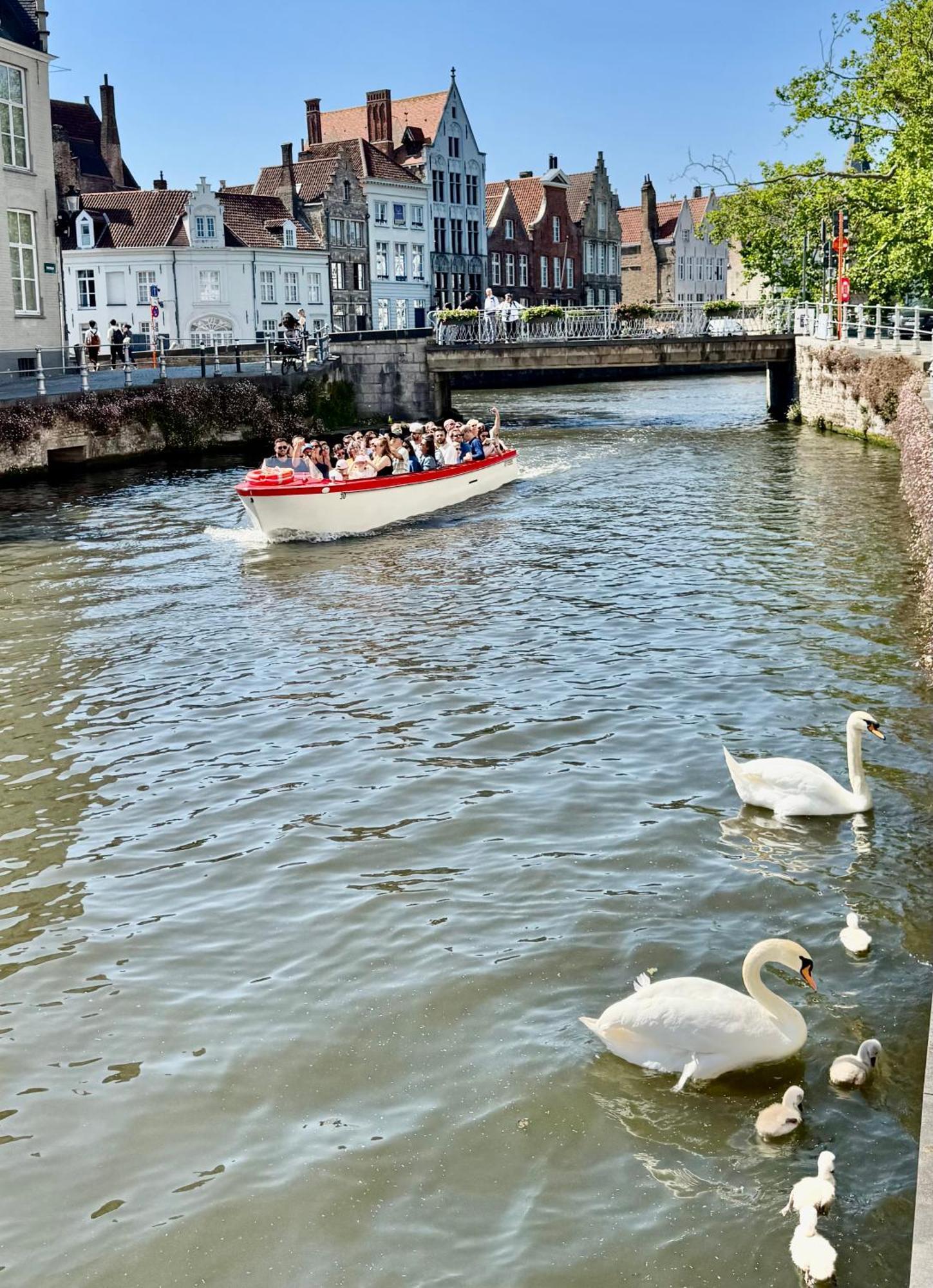 Sleeping Swan Bed & Breakfast Bruges Exterior photo